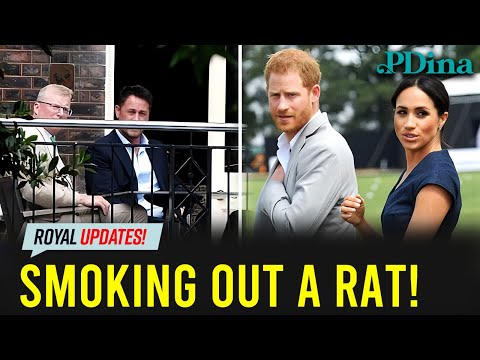 Who Betrayed the Palace? Royal Investigation Will Surprise You!