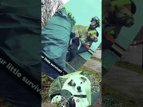 Humanity is the greatest of all mankind 🥹🙏🏻