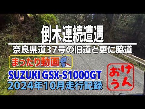 【まったり編】　-奈良県道37の旧道とさらに脇道で見たものとは！？-