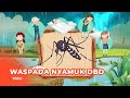ការប្រឡងពីវីដេអូសិក្សា