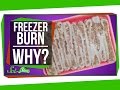Understanding Freezer Burn