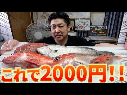 【激安！】友達がいろんな市場やスーパーで買ってきてくれた魚が？！？！？