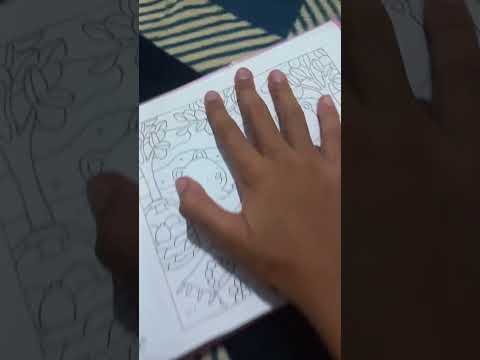 24 de outubro de 2025