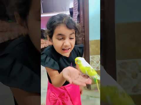 oye raju pyar na kariyo #divishasingh2020 #funny #youtubeshorts #comedy #cutebaby