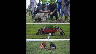 Restoring Lake Kenyatta Through Collective Action