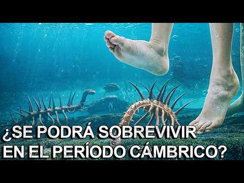 ¿Pueden sobrevivir los humanos modernos en el período Cámbrico？