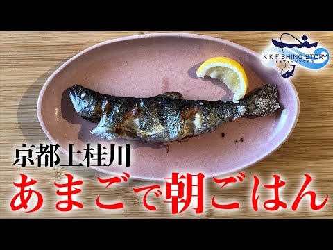 京都の渓流に朝食のアマゴを釣りに来た＠上桂川