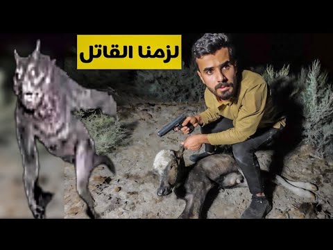 ظهور حيوان غريب يقتل الجاموس وسط الأهوار يسمى الدراكولا 🇮🇶