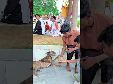 Dog Ne 🐕 Ham Sab Ko Dost Banaya 🥰 Wow //#trending #talentedboystunt #fashiontrends