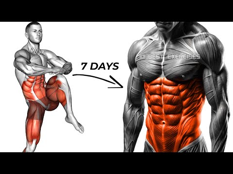 Standing Only Six Pack Abs Workout To Lose Belly Fat in 7 Day At Home