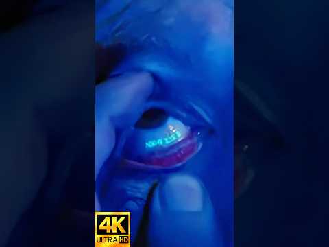 What's REALLY Behind the Epic Blade Runner Fight Scene?