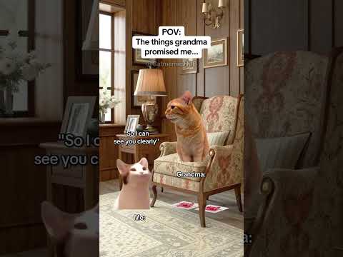 CAT MEMES 🐱The things grandma promised me #catmemes #relatable #relationship