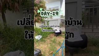 D-29 เปลี่ยนทางเข้าบ้านให้เป็นสวนผัก ปลูกผักใหม่แล้วจร้า #หาทางเข้าบ้าน #บ้านกล่องขาว #ให้บ้านหาเงิน
