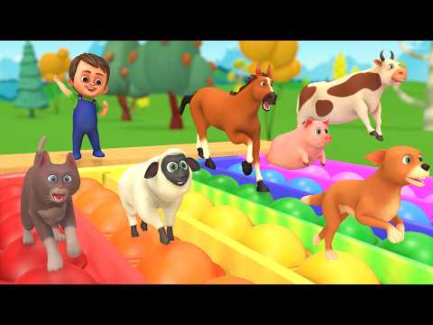 Oh Wow! Farm Animal Sounds & Names! Baby Animals Playing on Giant Pop It 🐮  - Funny Animals Videos