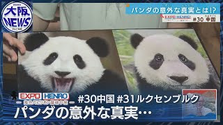 【中国ジャイアントパンダは2種類!?】万博海外パビリオンで発見～ボウリングのピン9本！ルクセンブルクーEXPO HENROー 海外パビリオン踏破の旅