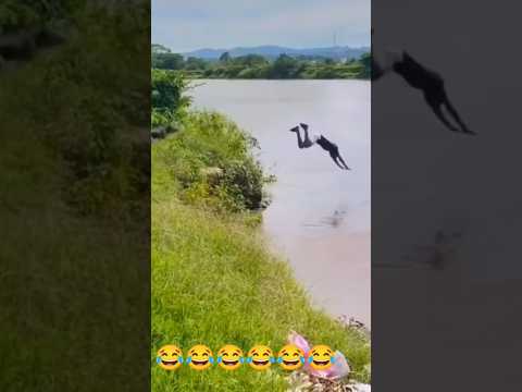 सावधान रेना मेरे भाई अपने  gyo के कुत्ते से नहीं तो आप के साथ भी असहाय होगा 😂🤣