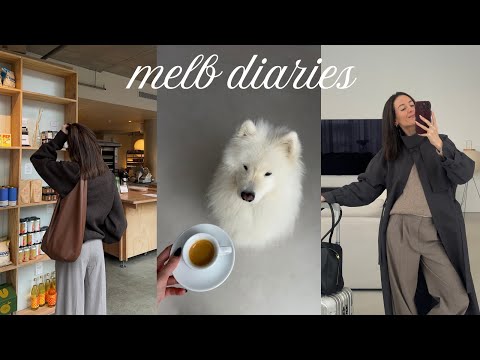 life updates | dog sitting, birthday + a chaotic weekend