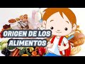 Types of Food Origins