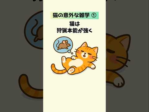 猫の動画サムネイル - 【厳選】猫の意外な雑学15選① #猫の雑学 #おもしろ雑学 #豆知識
