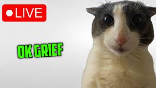GRIEF Stream 2