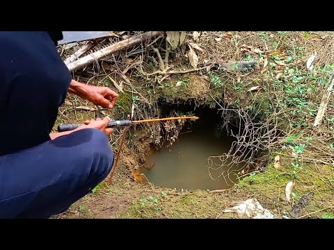 PEMANCING IKAN LEMBAT | LUBANG BESAR SARANG IKAN LEMBAT | fishing 2024