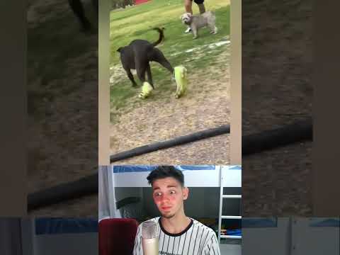 Gülersen, Kaybedersin #shorts
