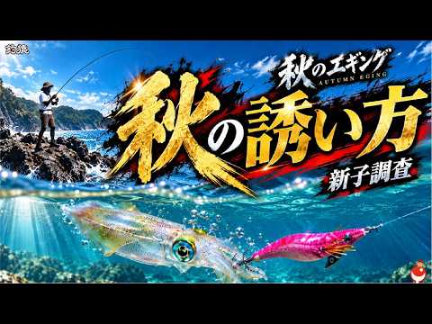 【エギング】秋イカシーズン開幕!釣れる時だからこそ皆に教えたい「新子アオリイカ」の狙い方!晩夏〜初秋リアル調査🦑