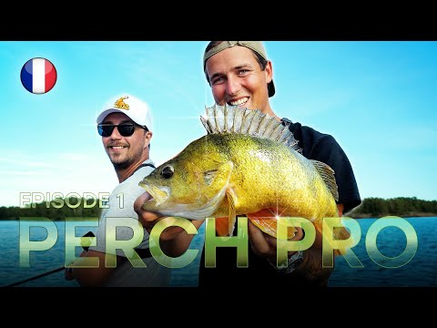 PERCH PRO 11 - Épisode 1 (version française)
