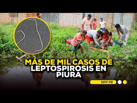 Piura supera los mil casos de leptospirosis y registra la mayor cifra de fallecidos en el país