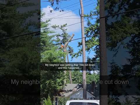 Bro almost met the tree manufacturer