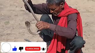 देखिए नागिन कितना खतरनाक रूप धारण किया। खौफनाक मंजर। उत्तर प्रदेश कौशांबी। ईंट भट्ठा में मिला।