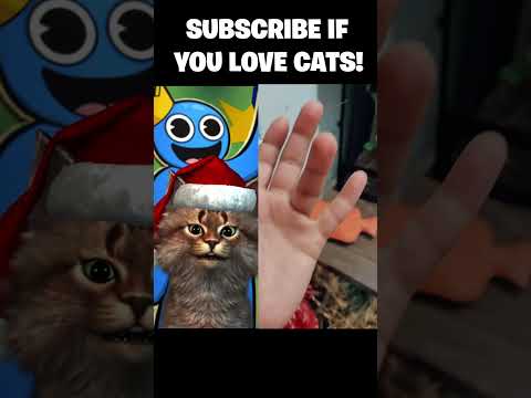 What was the last animal!!