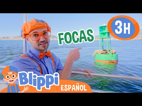 Blippi encuentra focas en el mar🦭🌊| Blippi Español | Videos educativos para niños |Aprende y Juega