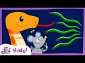 Understanding Snakes and Their Senses