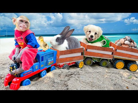 Monkey Baby Bo Bo Goes To Playdate With Duckling, Puppy, Rabbit In The Amusement Park