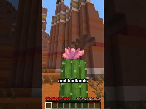 The most dangerous flower