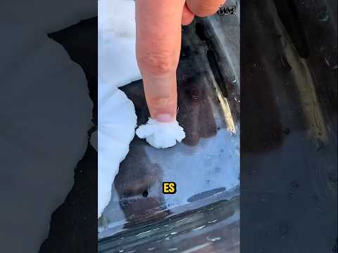 Es ini Tidak Dingin! Tapi Panas! ๐ฒ๐คฏ