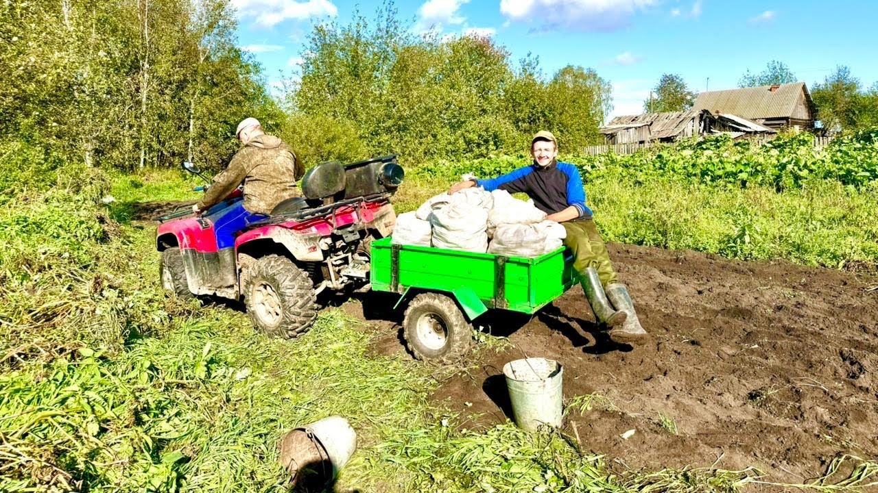 Копаем картофель в деревне. Переделали окучник в копалку. Вечерняя охота на уток.