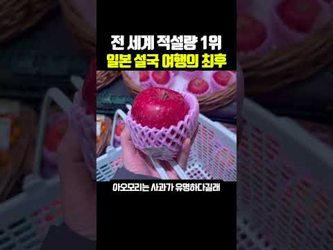 아오모리 솔직 후기ㅋㅋ