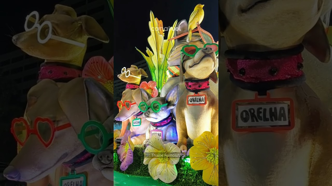 Cão Orelha é homenageado em desfile da Mocidade Independente de Padre Miguel