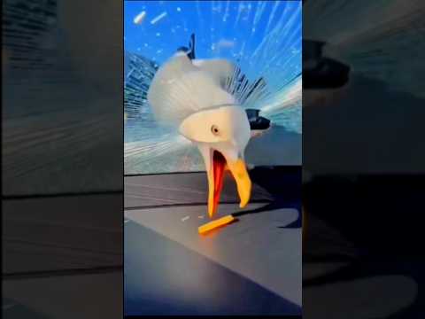 इस पक्षी ने क्या किया 😱 पूरी वीडियो मिल गई 🤣 #वायरल #gaming #automobile #games #music #youtubeshorts