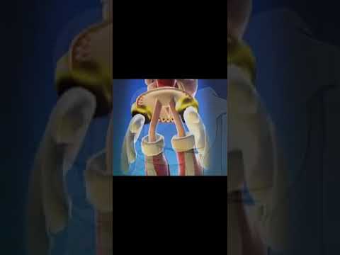 Pantaloncillos para Amy Rose  #comedia #memes #sonic #amy #vanilla