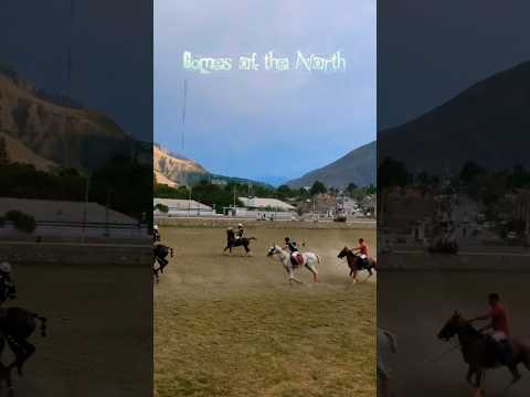 Freestyle Polo Chitral| youngest polo player| #polo #horse #chitralpolo #horseriding #chitralpolo