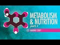 Exploring Metabolism: Key Nutrients and Reactions