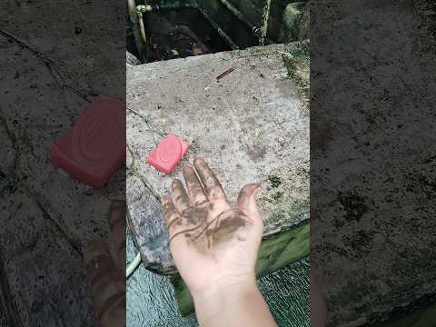 🌸🌺🌼ASMR AMERICA'SORIGINAL DU ...