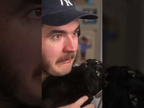 Schlatt's Cat "Hugs" Him
