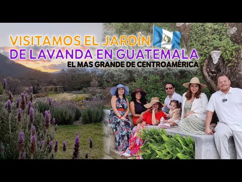 Visitando el jardin de Lavanda en Guatemala