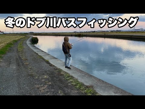 冬のドブ川で真剣にバス釣りを楽しんできました
