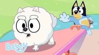 Wippe + Mehr! 🩷 | Bluey – Gesamtausgabe aller Folgen | Bluey - Deutsch Offizieller Kanal