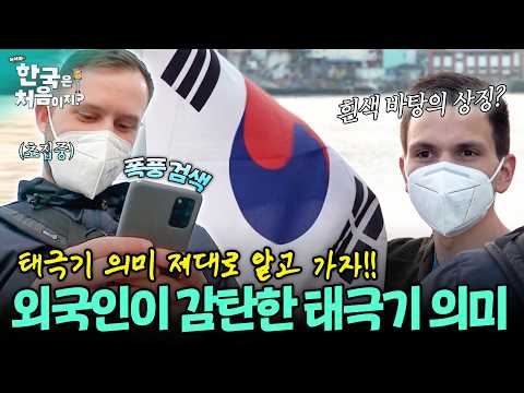 "여기 줄은 무슨 뜻일까?" 태극기 의미 제대로 알고 싶은 외국인들 | #어서와한국은처음이지 | EP.252